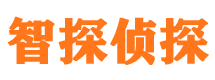 江川侦探